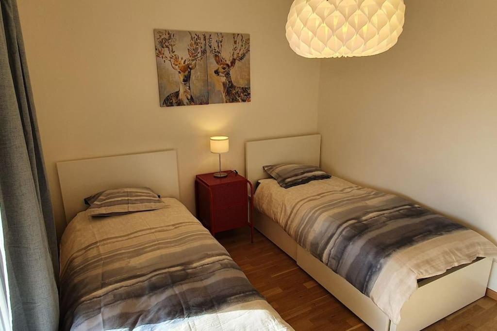 Apartment Via San Carlo In Muralto-Locarno Екстер'єр фото
